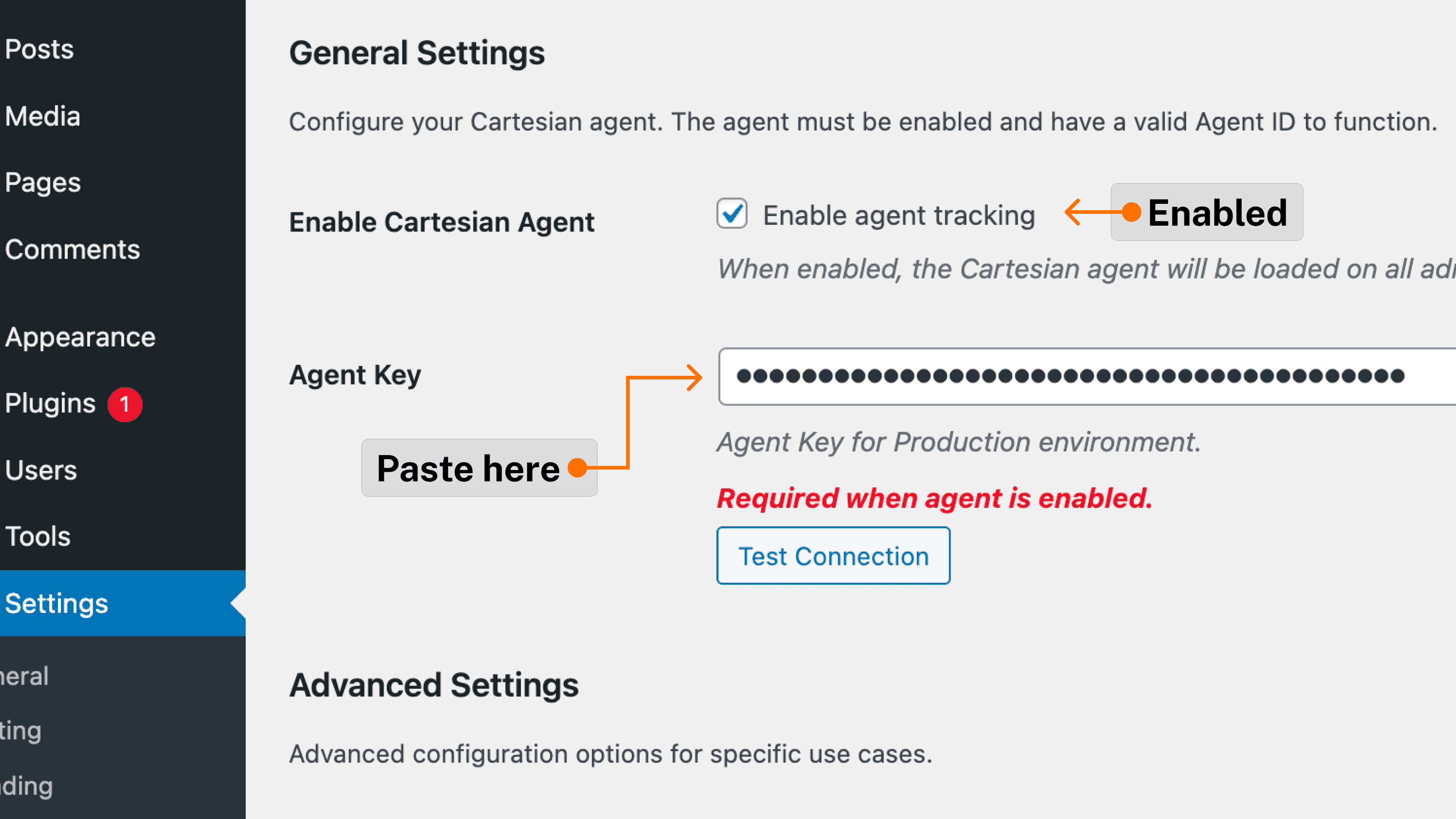 Step 4: Connect the API key to the Cartesian wordpress plugin